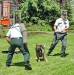 Výsledky výcviku policajných psovodov 1